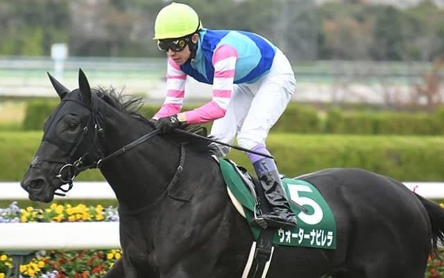 武豊騎手今週も重賞制覇のチャンス 武幸四郎師管理の桜花賞2着馬とコンビ