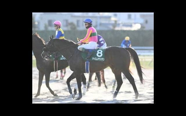 一線級不在のフェブラリーＳ。断然人気のレモンポップに一抹の不安があるなか、人気薄の実力馬２頭に妙味あり