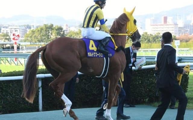 【次走】有馬記念2着のボルドグフーシュ 阪神大賞典でいざ重賞初制覇へ