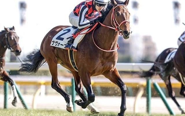 初陣飾ったシュネルマイスターの弟 アーリントンCで重賞初制覇へ