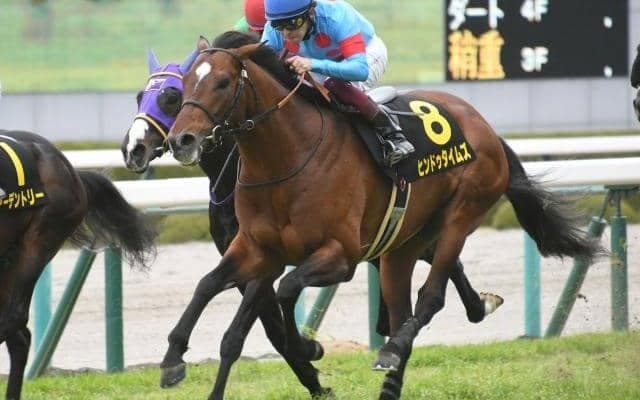 【小倉大賞典枠順確定】ヒンドゥタイムズは3枠6番、レッドランメルトは1枠2番