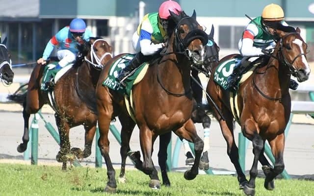 19年ファルコンSの覇者ハッピーアワーが登録抹消 今後は乗馬に