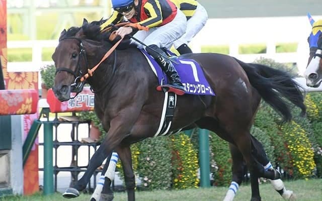 スタニングローズやダノンザキッドなど中山記念に13頭