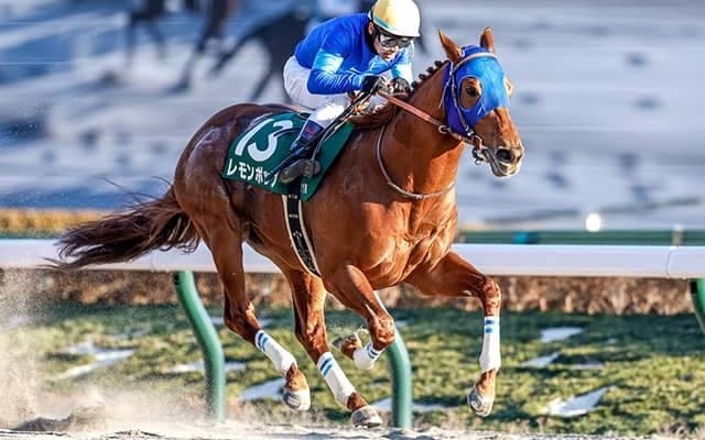 【フェブラリーS予想】馬券を買う皆さんに残念なお知らせ？ 1＆2番人気の成績から分かるレース傾向とは