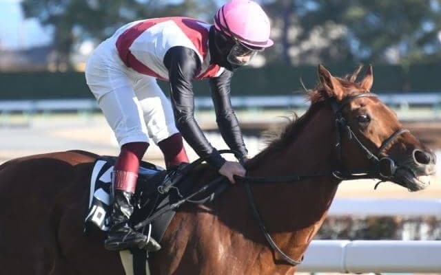 【ダイヤモンドS予想】特殊な条件下で不可欠な長距離適性を重視