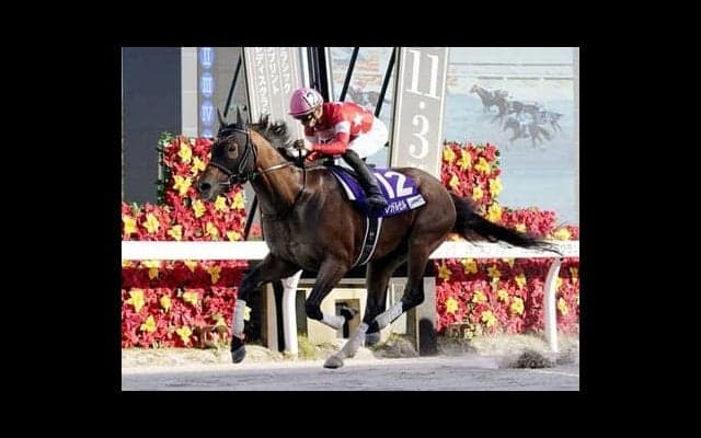 「２強」が有力視されるフェブラリーＳ。過去２年よりレベルが落ちるメンバー構成なら、当時人気を背負った古豪にも出番あり