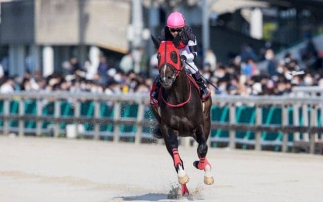 【フェブラリーS】戸崎ドライスタウトは2枠4番…福永祐一騎手はJRA・G1最後の騎乗