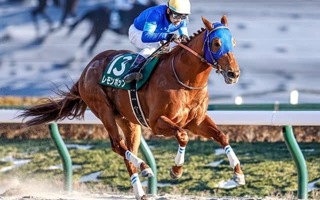 【フェブラリーS予想】1着賞金「10倍以上」で出走馬に変化!? 有力馬の海外流出で重要視される「格」