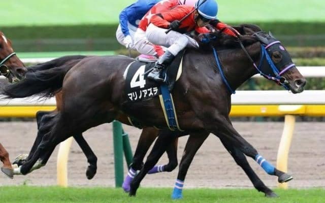【ダイヤモンドS】実力は重賞級でも恵量53kg マリノアズラが絶好の狙い目だ