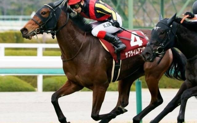 【京都牝馬S】最内枠は大歓迎！ サブライムアンセムが突き抜ける