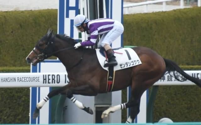 【阪神5R新馬戦結果】9番人気ゼンダンゴクウがV 酒井学騎手はJRA通算400勝達成