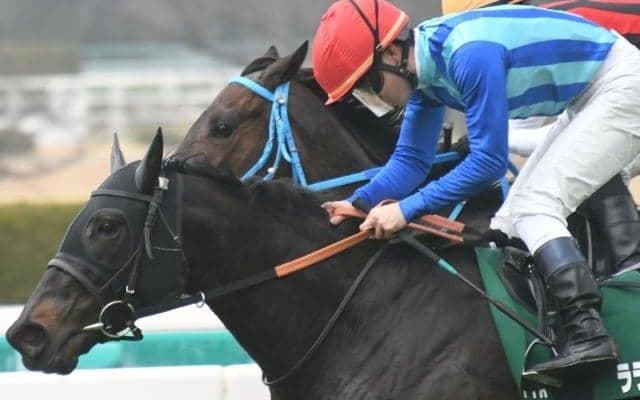 【京都牝馬S結果】ララクリスティーヌが人気2頭のゴール前勝負を制し重賞初V