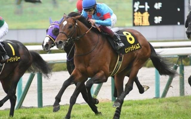 【小倉大賞典予想】高齢馬に妙味あり！ 人気薄が好走する波乱必至のハンデ戦