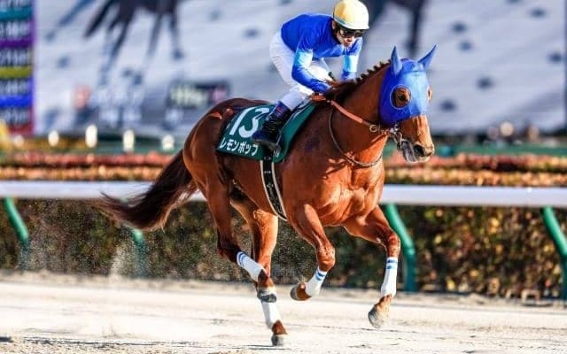 【フェブラリーS予想】外国産馬が連勝中！ レモンポップが該当も課題となるのはジョッキーの乗り替わり