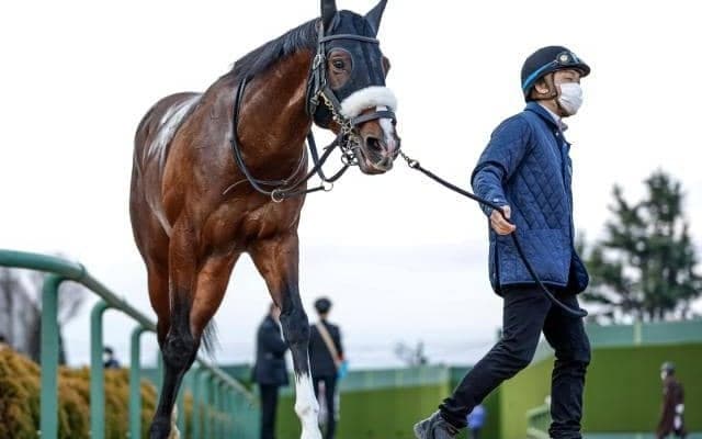 【小倉大賞典前日オッズ】レッドランメルトが4.3倍で1番人気