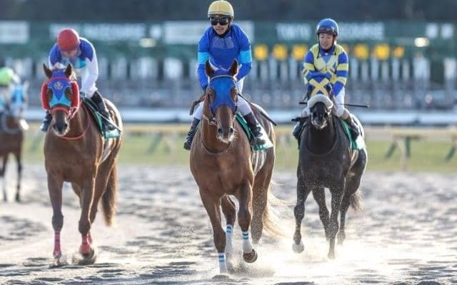 【フェブラリーS前日オッズ】レモンポップが2.4倍で1番人気