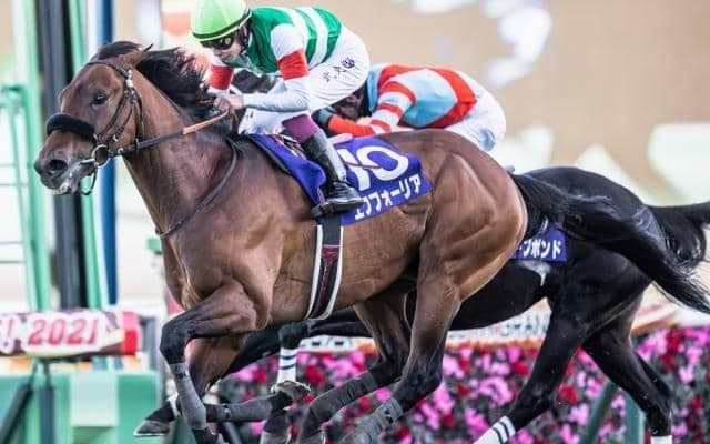 エフフォーリアの種付け料が300万円と発表 すでに満口に