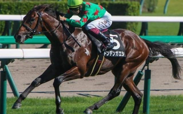 【ヒヤシンスS】芝ダ兼用血統のドンデンガエシ 初ダートでも侮れない