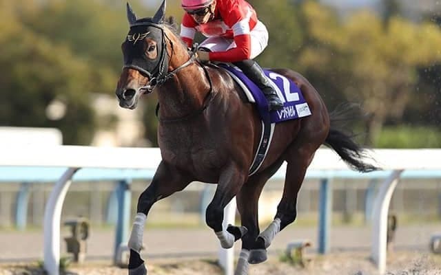 【AI予想・フェブラリーS】鬼の居ぬ間にGI奪取!? 初志貫徹「◎」古豪の悲願達成に期待大