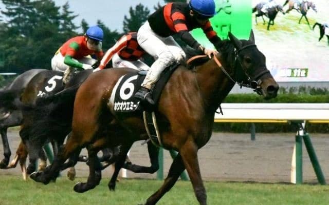 【小倉大賞典】現役屈指の道悪巧者 ホウオウエミーズの一発があるぞ