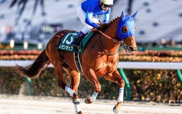 【フェブラリーS予想】本命級の回避、海外馬や地方馬の参戦 難解な上半期のダート最強馬決定戦