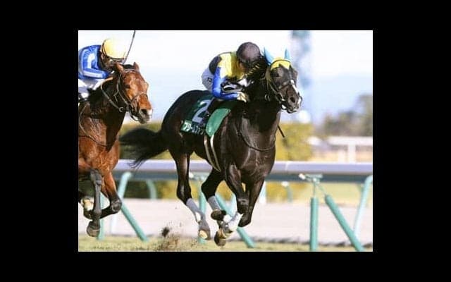 クラシックの有力候補に浮上したフリームファクシ。陣営も「乗り味が抜群。モノの違いを感じる」と大絶賛