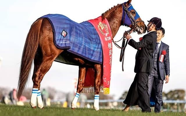 【フェブラリーS予想】枠順による有利不利はあるのか？ 注目のローテから浮上する穴馬は？