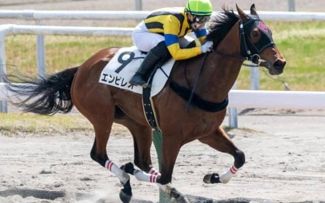 【日曜小倉3R】スピード自慢のエンピレオ 初のダ1000mで突っ走る