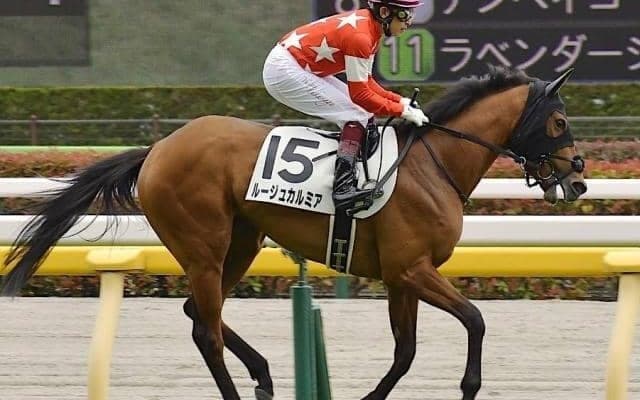 【日曜東京7R】前走は負けて強し ルージュカルミアが決める