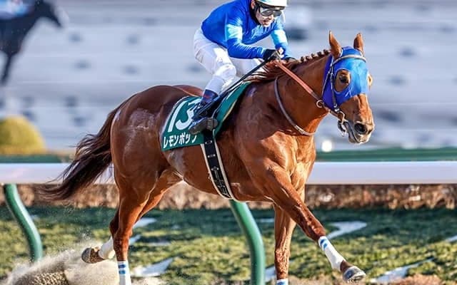 【フェブラリーS 13時時点オッズ】レモンポップが2.4倍で単勝1番人気 ドライスタウトが3.9倍で続く