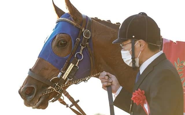 【フェブラリーS・馬体重】レモンポップは518kg(-4)、ドライスタウトは526kg(-12)