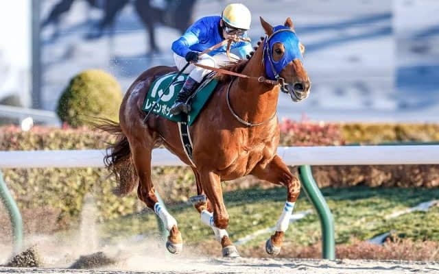 【フェブラリーS】レモンポップが横綱相撲でGI初挑戦V デビューから11戦連続連対