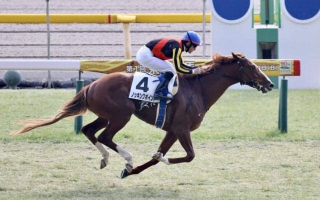 【東京6R】良血ノッキングポイントが人気に応える