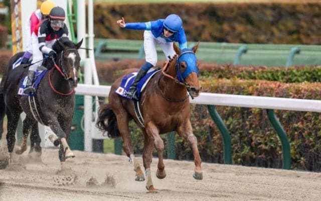 【フェブラリーS】坂井「僕は乗っているだけ」レモンポップがG1初制覇