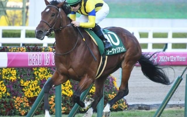 国内2重賞とサウジCデー 福永祐一騎手と5名の調教師がターフに別れ/今週の競馬界の見どころ