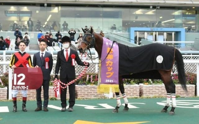 【阪急杯見どころ】実績上位グレナディアガーズが重賞3勝目を狙う