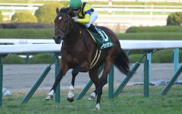 【中山記念見どころ】ソーヴァリアントの重賞連勝なるか