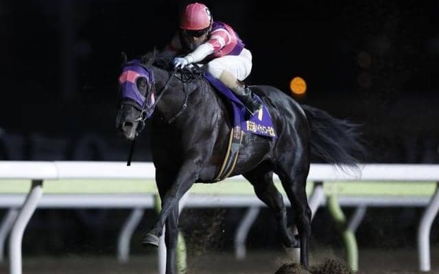 【大井・雲取賞枠順】無敗の重賞馬マンダリンヒーローは2枠2番、鎌倉記念の覇者ヒーローコールは7枠8番