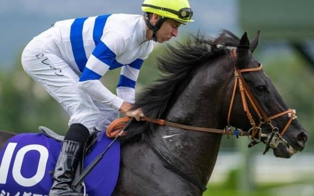 中山記念で2022年宝塚記念2着馬が復帰 所属の堀宣行厩舎は3勝と好相性