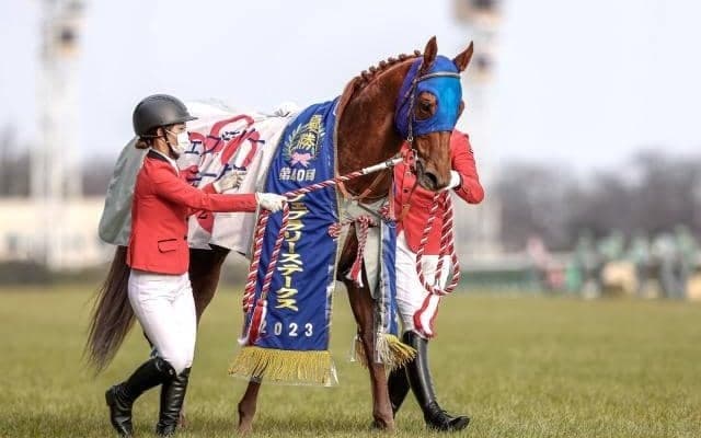 フェブラリーSを制したレモンポップの底力あふれる血統