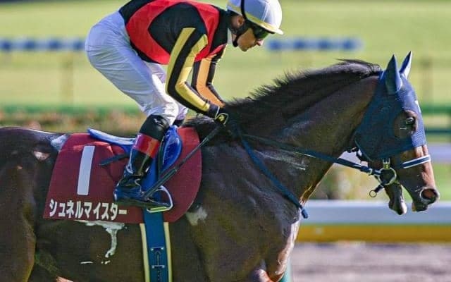 【中山記念】意外にもGI馬が苦戦傾向 シュネルマイスターら3頭は7年ぶりのジンクス克服なるか