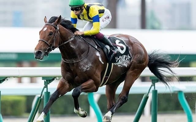 【中山記念想定騎手】ソーヴァリアントは横山武史騎手、ダノンザキッドは北村友一騎手