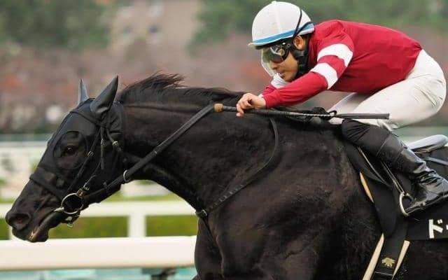 藤田晋氏所有の5億円馬 中山記念を勝てば“史上最高額”のJRA重賞ウィナーに