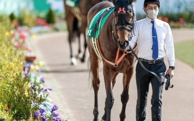 【中山記念展望】国内外のGI前哨戦、先行力が要求されやすい