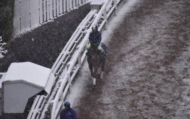 テーオーケインズなど、先週の入厩情報/栗東トレセンニュース