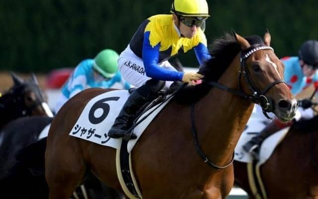 総額7億円！超高額馬が揃った“クラシックの登竜門”すみれSを見逃すな