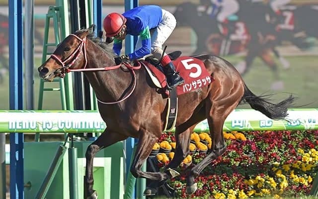 いまさら聞けないサウジCとは？概要と発走時刻をチェック