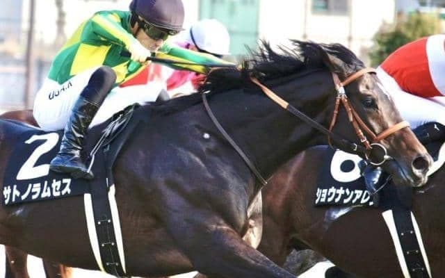 父ルーラーシップ×母の父ディープインパクトが絶好調！今週阪急杯に1頭が該当