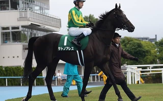 ディープインパクトの血脈は世界へ 2016年JRA最優秀2歳牡馬が種牡馬としてトルコに輸出