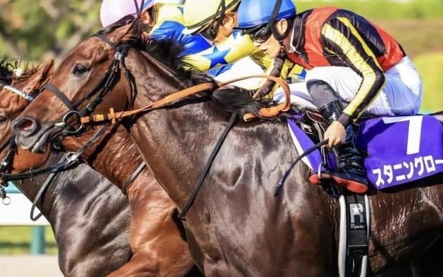 キンカメ産駒がJRA重賞16年連続制覇へ 東西重賞に実績馬スタンバイ